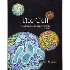 The Cell (8E 19)