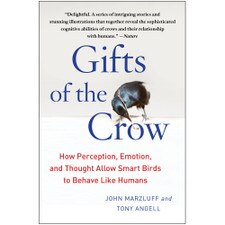 The Gift of the Crow