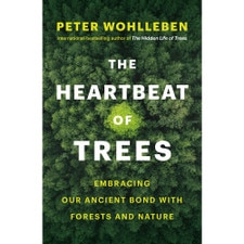 The Heartbeat of Trees: Embracing Our Ancient Bond with Forests and Nature