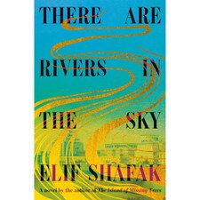 There Are Rivers in the Sky