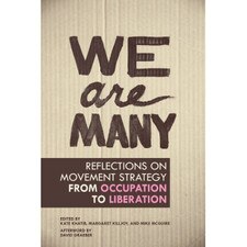 We Are Many: Reflections on Movement Strategy from Occupation to Liberation