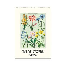 Wildflowers Wall Calendar 2024