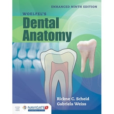 Woelfel's Dental Anatomy (9E 20) Enhanced Edition