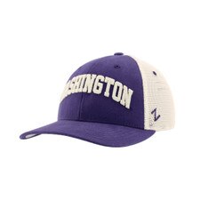 Zephyr Purple Chain Stitched Washington Huskies UW Mesh Back Adjustable Hat